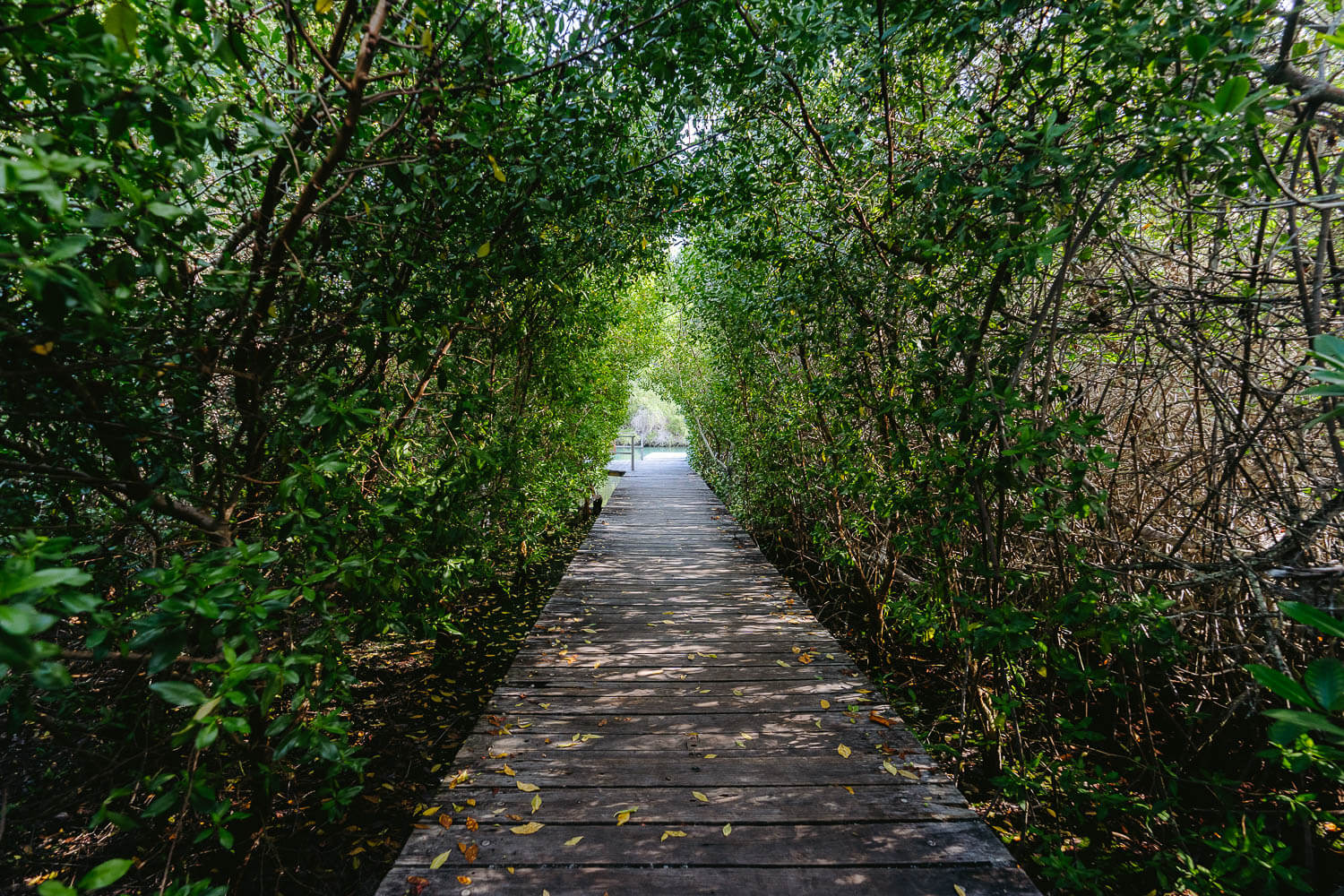 Entrance to the Lagoon