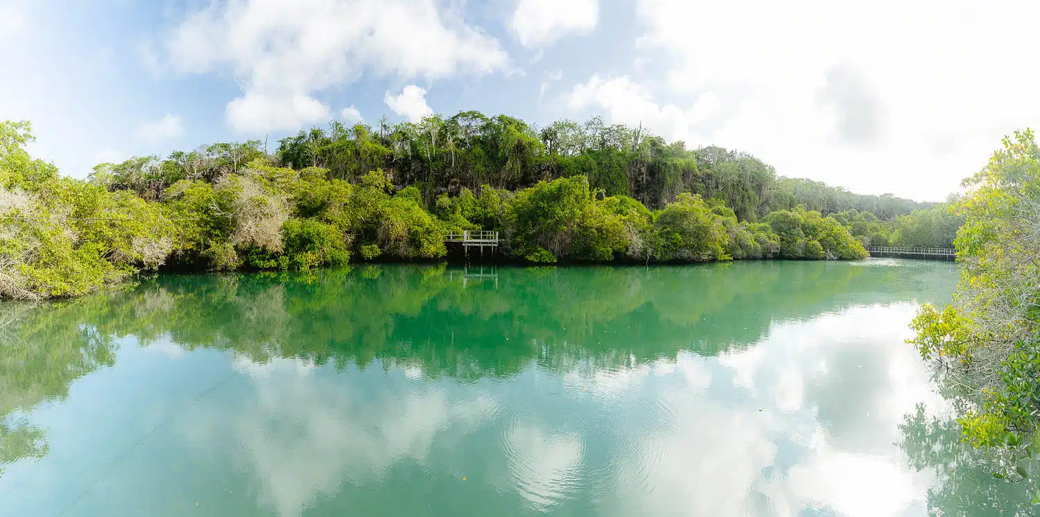 Panoramic of the Lagoon in Santa Cruz, Galápagos