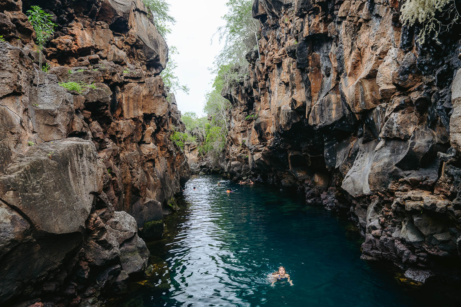 Las Grietas Canyon in Santa Cruz, Galápagos