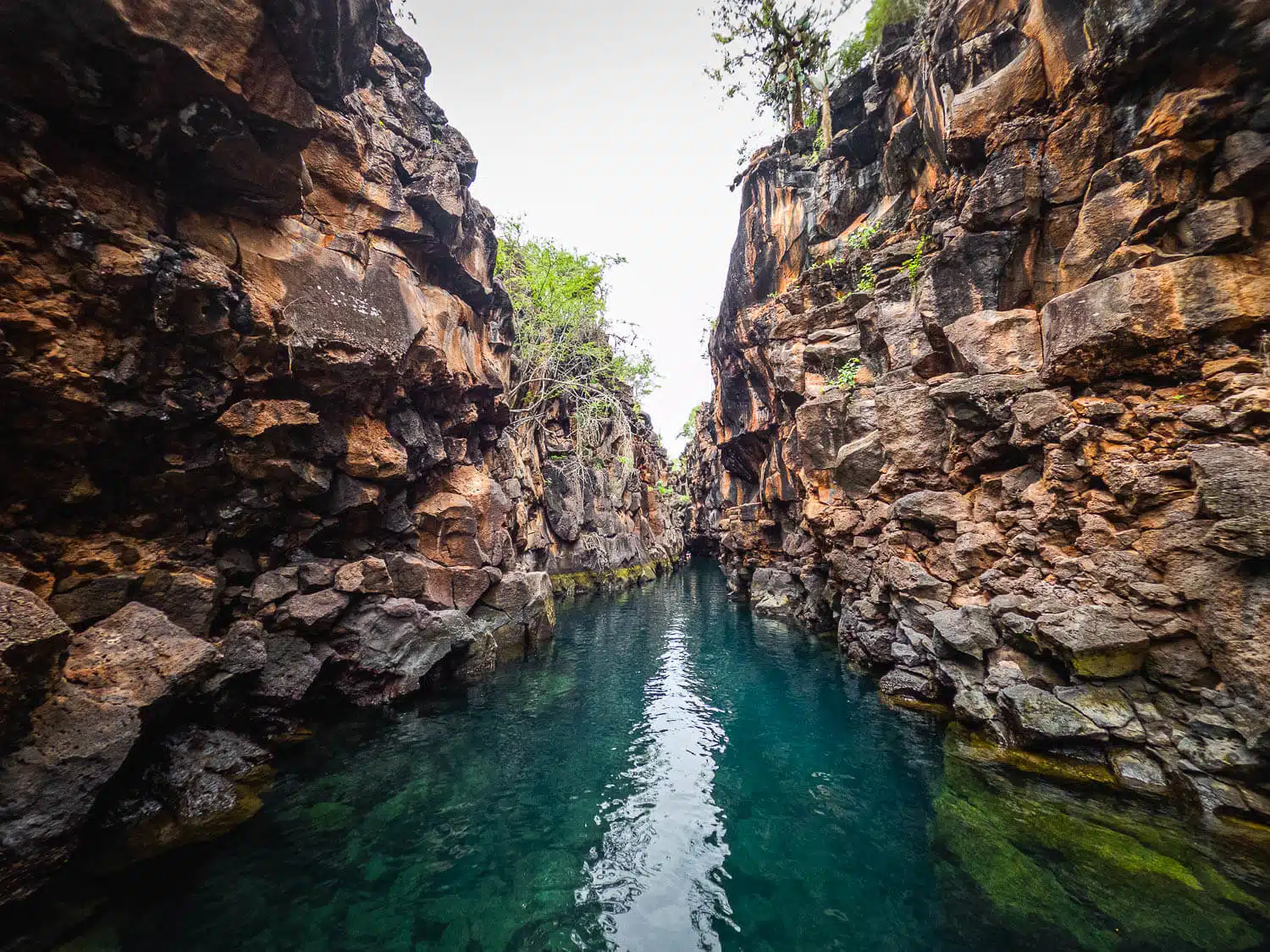 The second section of Las Grietas in Santa Cruz, Galápagos