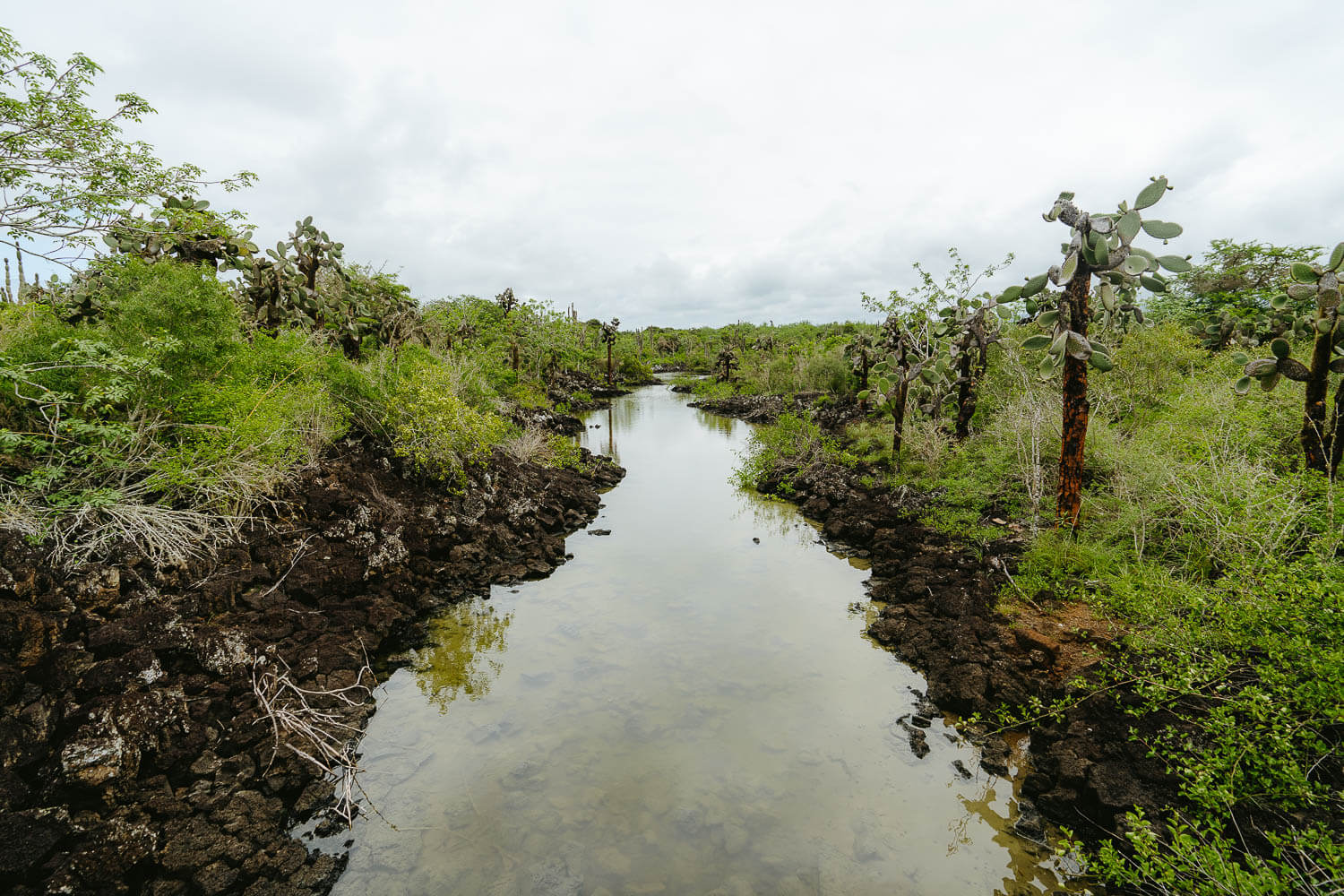 The Landscape around Las Grietas