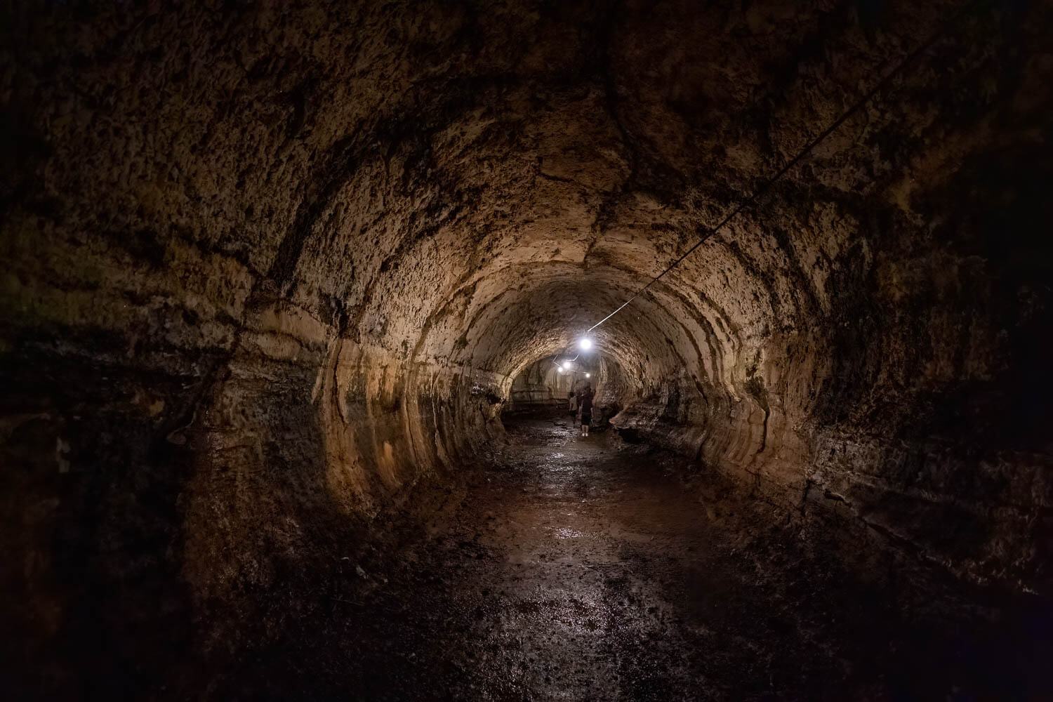 The perfectly lava-shaped tunnels of Santa Cruz