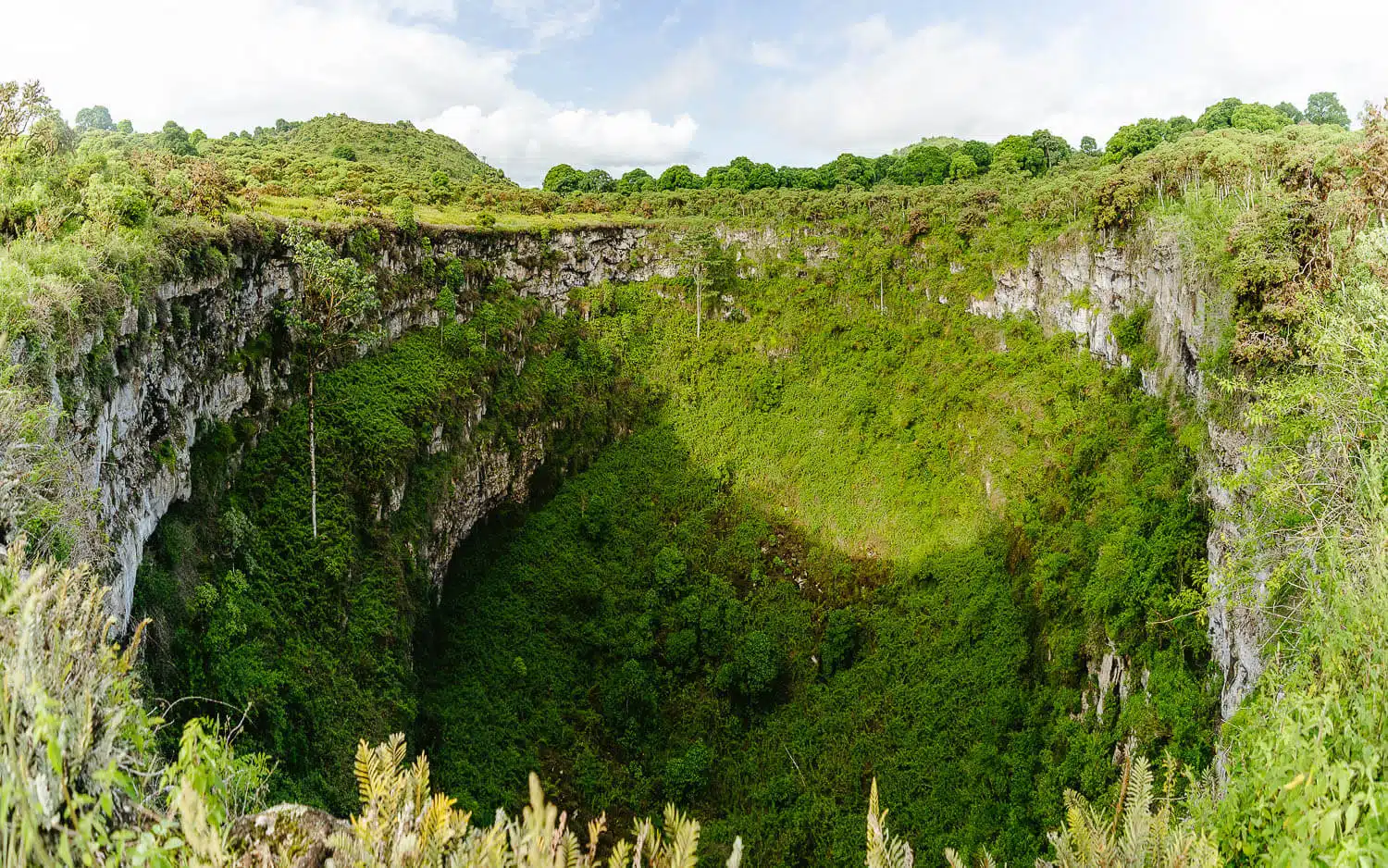 Los Gemelos Craters in the Highlands Tour of Santa Cruz, Galápagos, one of the best Galápagos Islands tours.