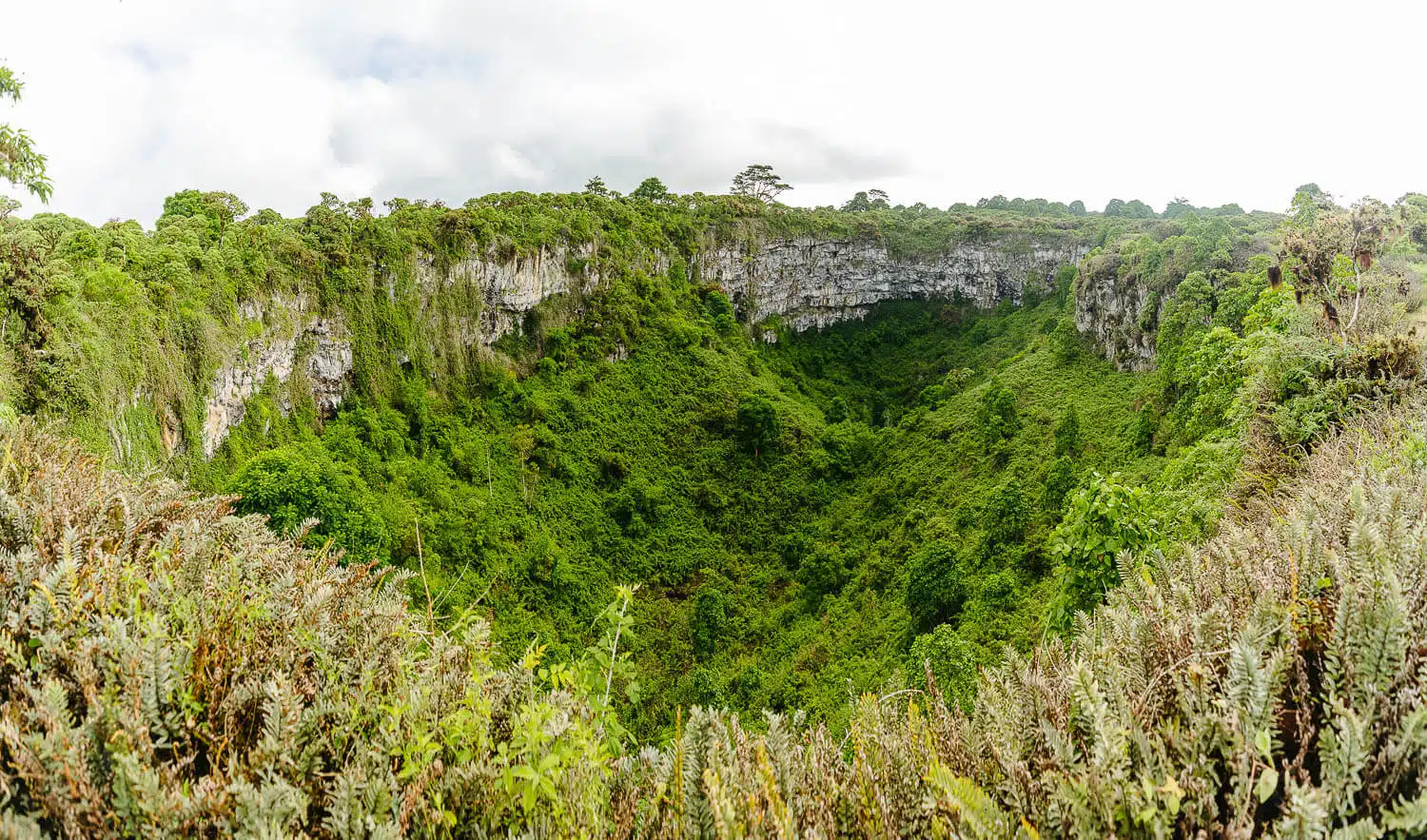 Los Gemelos Lava-made pit craters in Santa Cruz, Galápagos