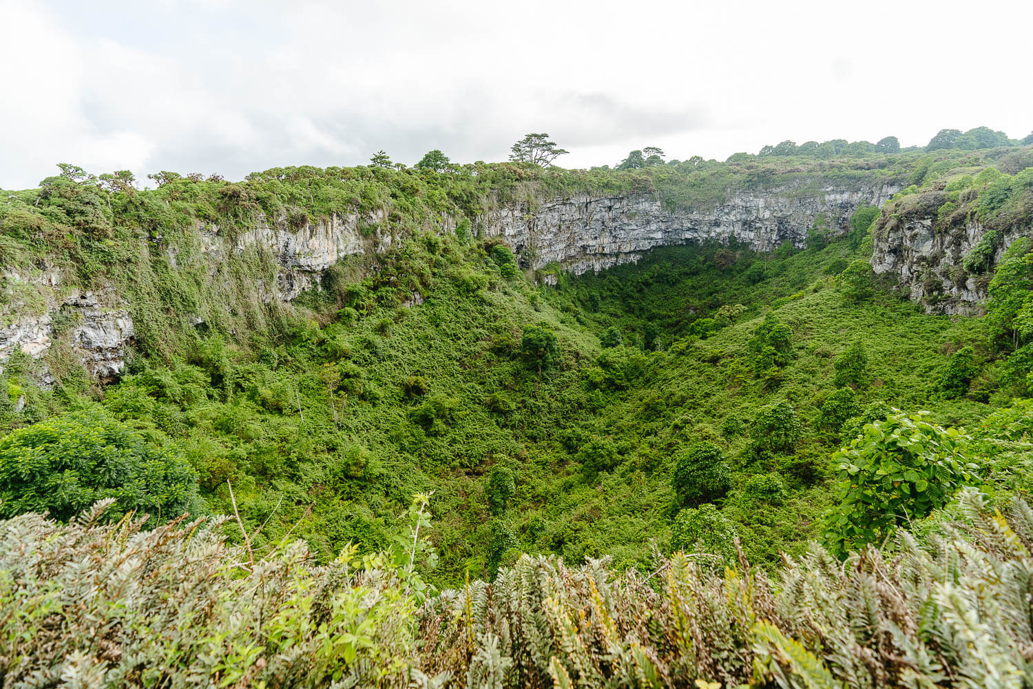 The second pit crater at Los Gemelos