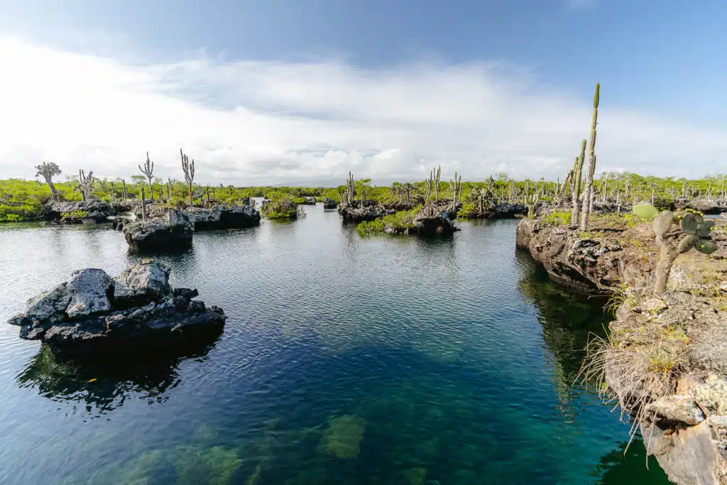 Los Tuneles seen from the surface, a must in any Galapagos Itinerary