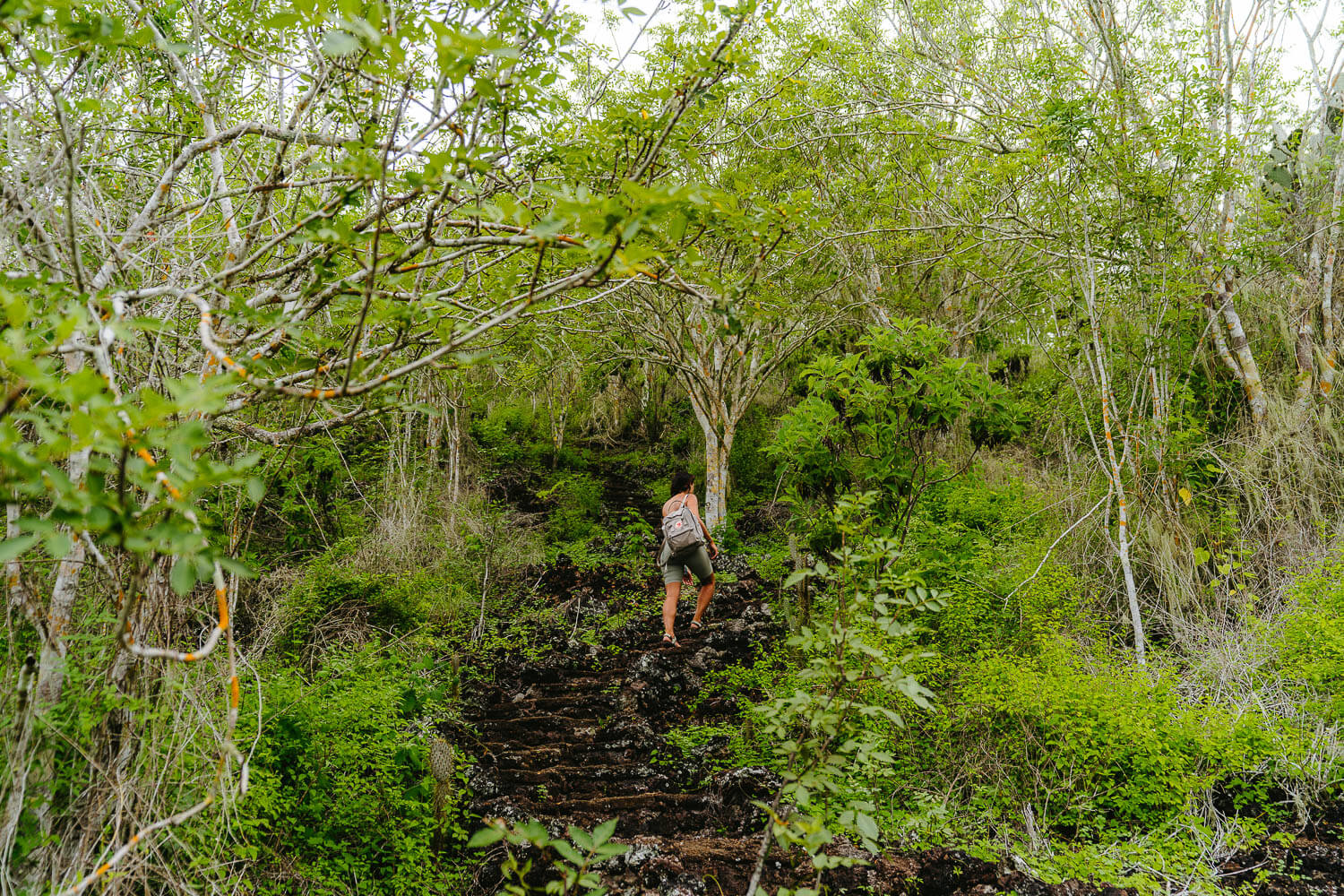 Hiking our way up to the Wall of Tears viewpoint