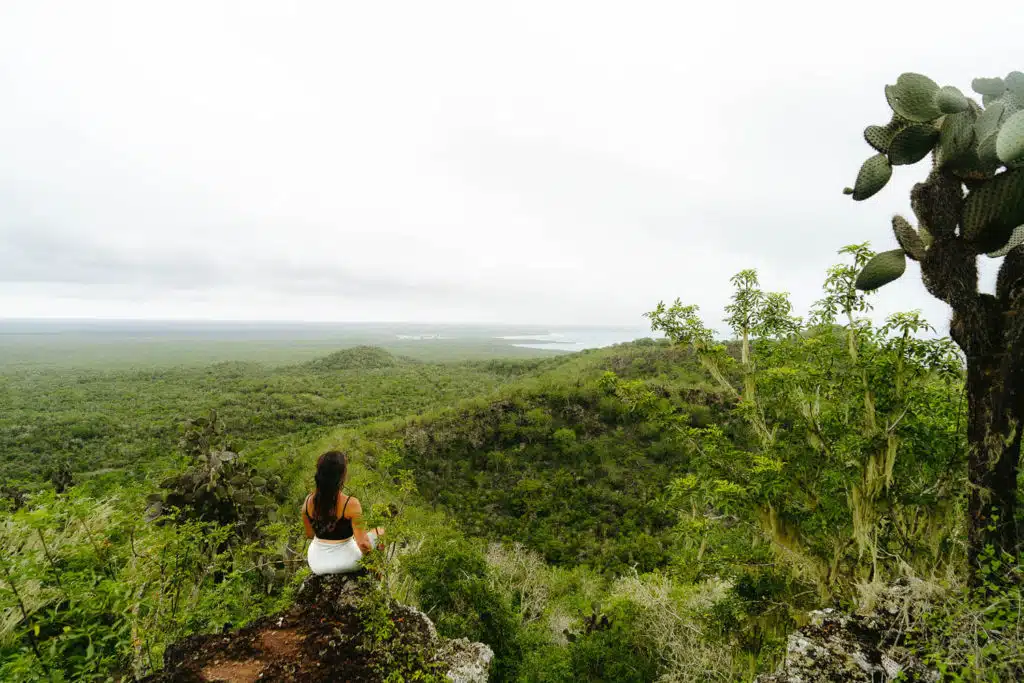 Looking at Puerto Villamil