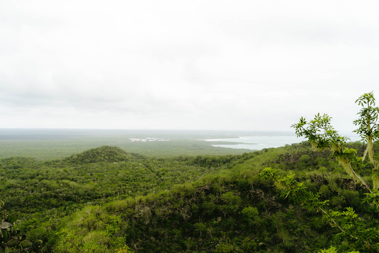 The view at the first viewpoint