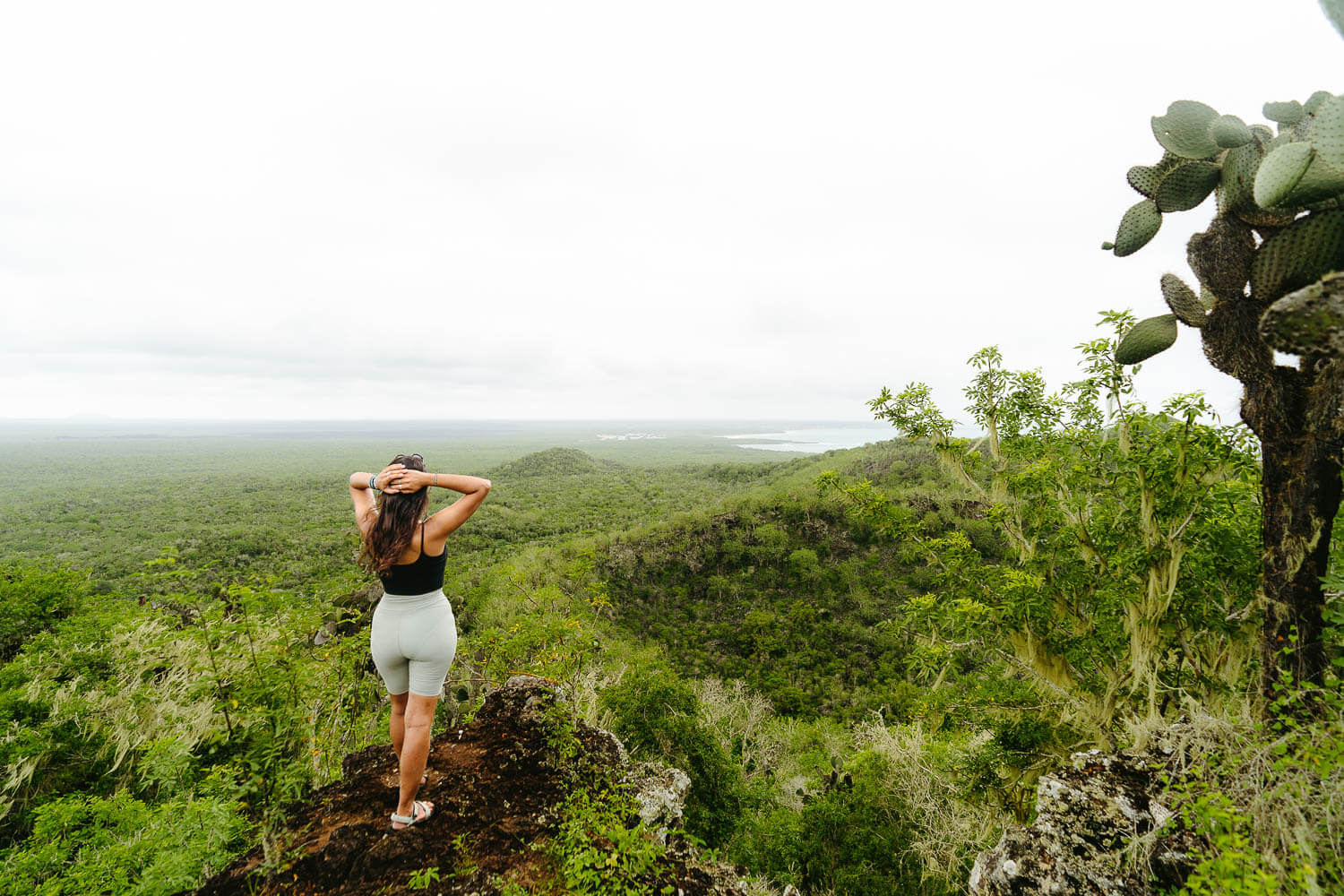 The viewpoint of the Wall of Tears