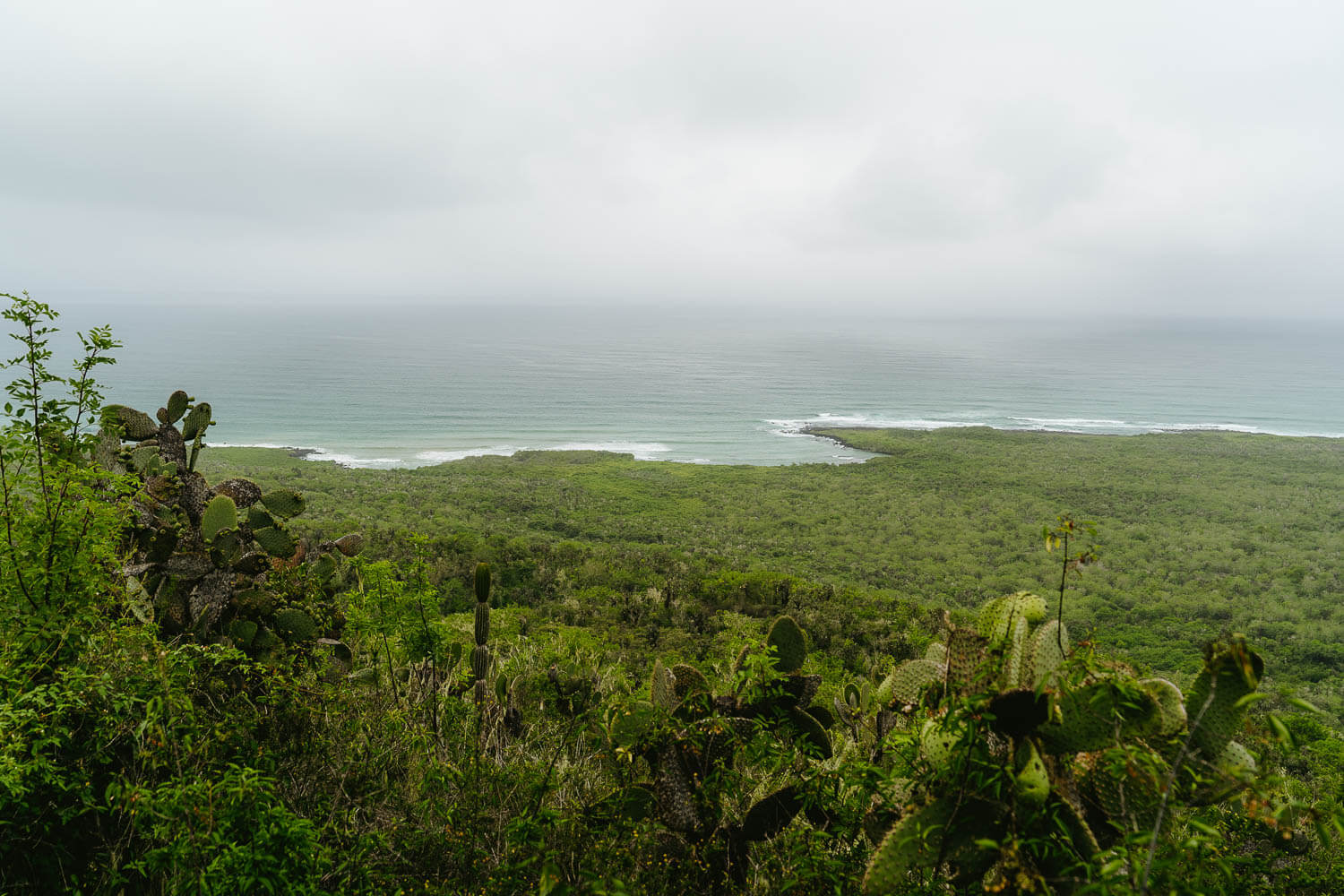 The view from El Radar viewpoint