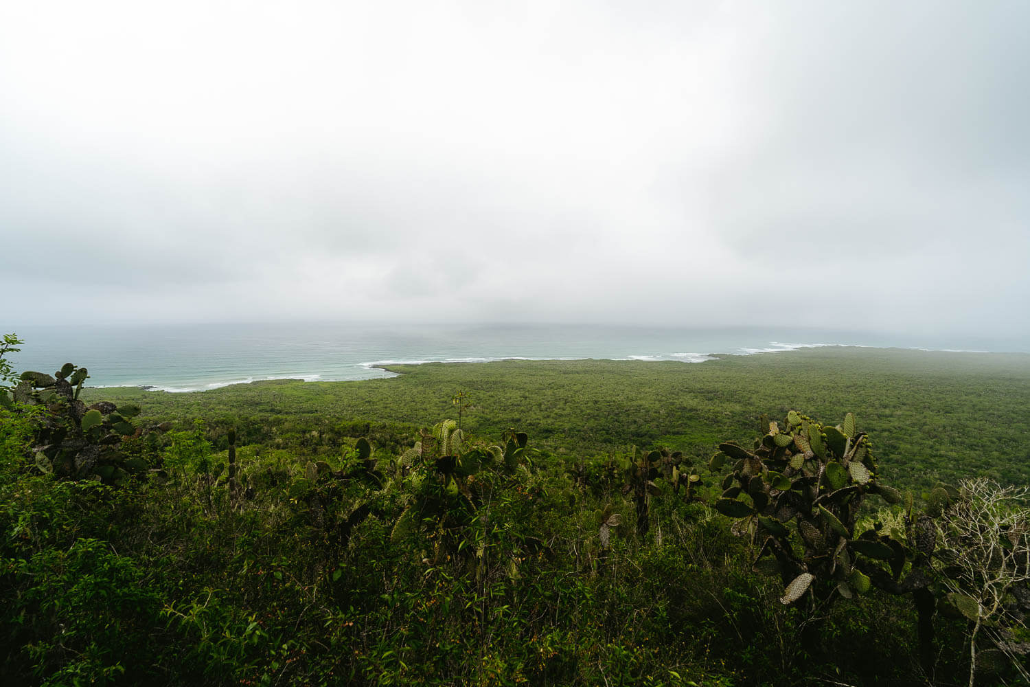 The view from El Radar viewpoint