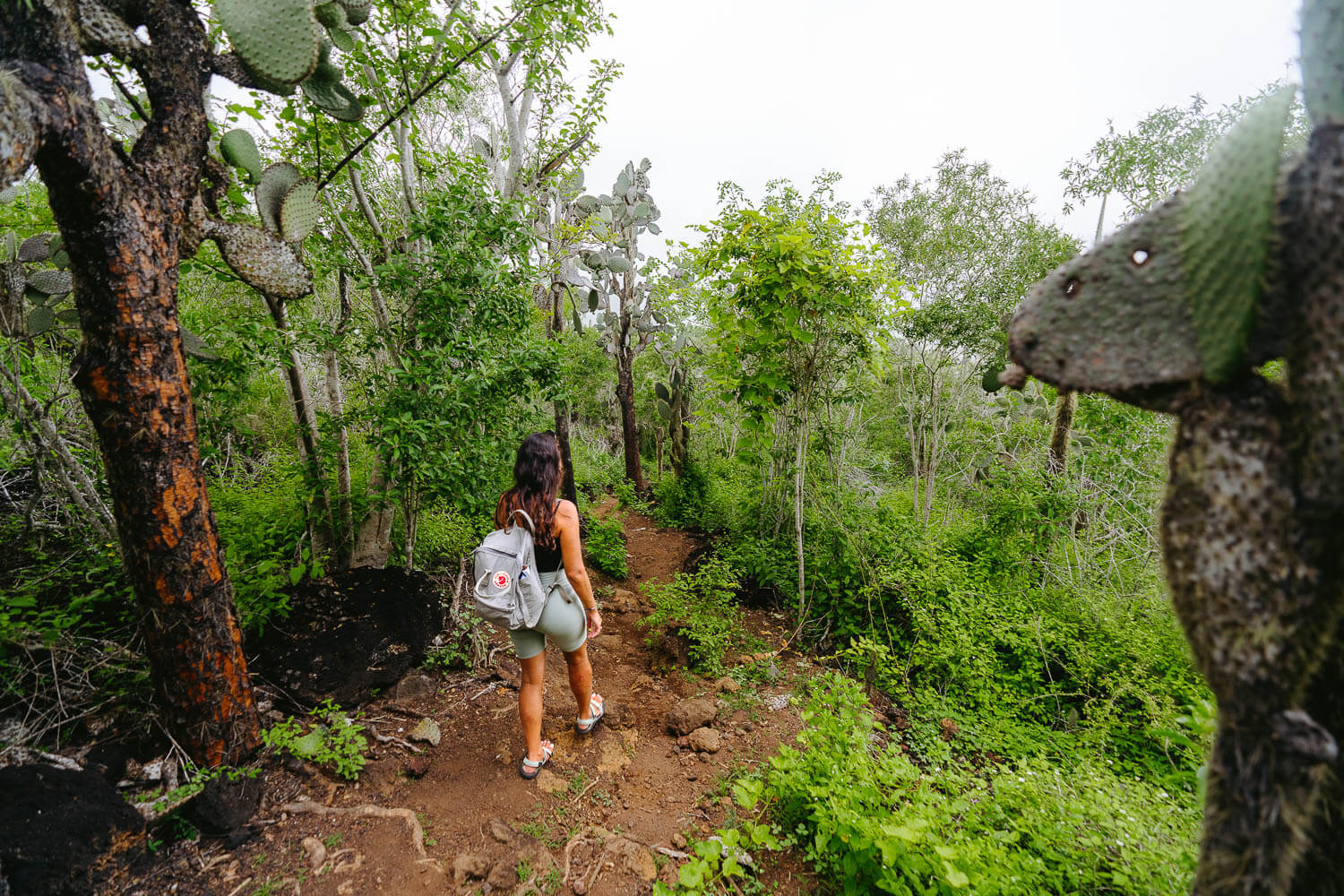 Walking to the Radar viewpoint