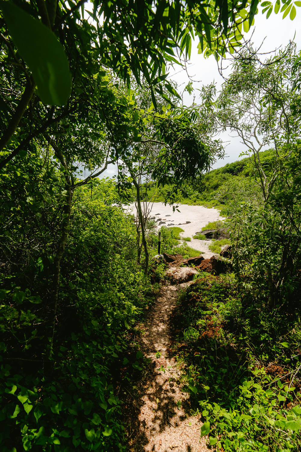 The entrance to Playa Baquerizo beach