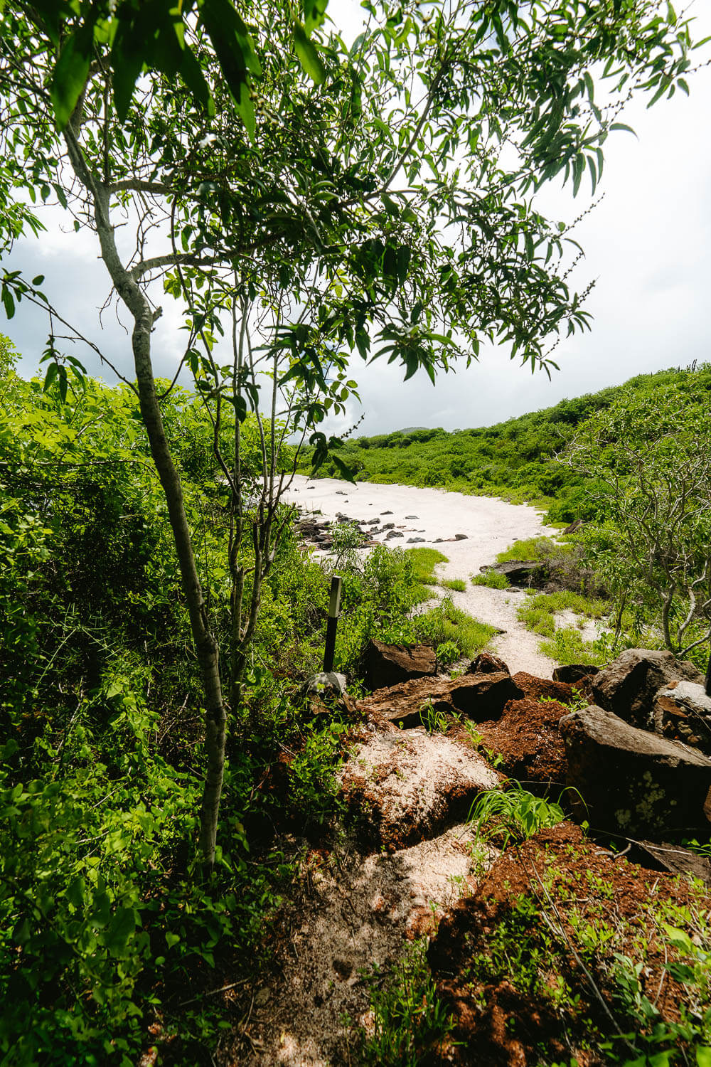 The entrance to Playa Baquerizo beach