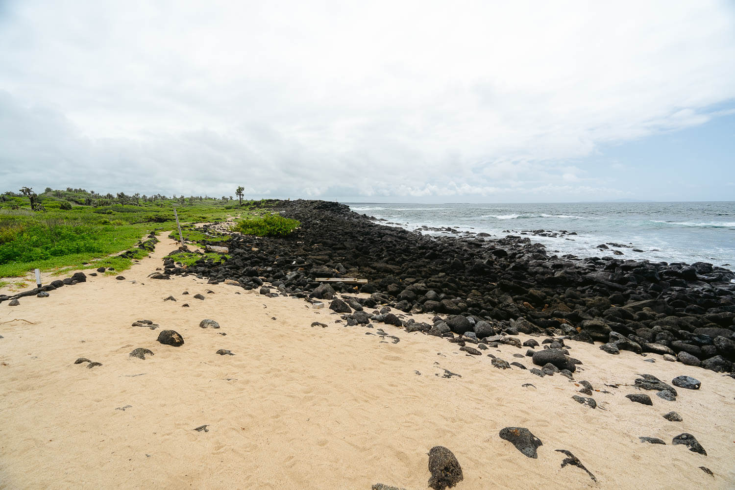 Playa de Los Perros Beach in Santa Cruz