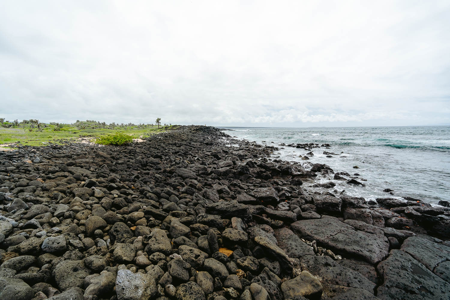 Los Perros beach in Santa Cruz