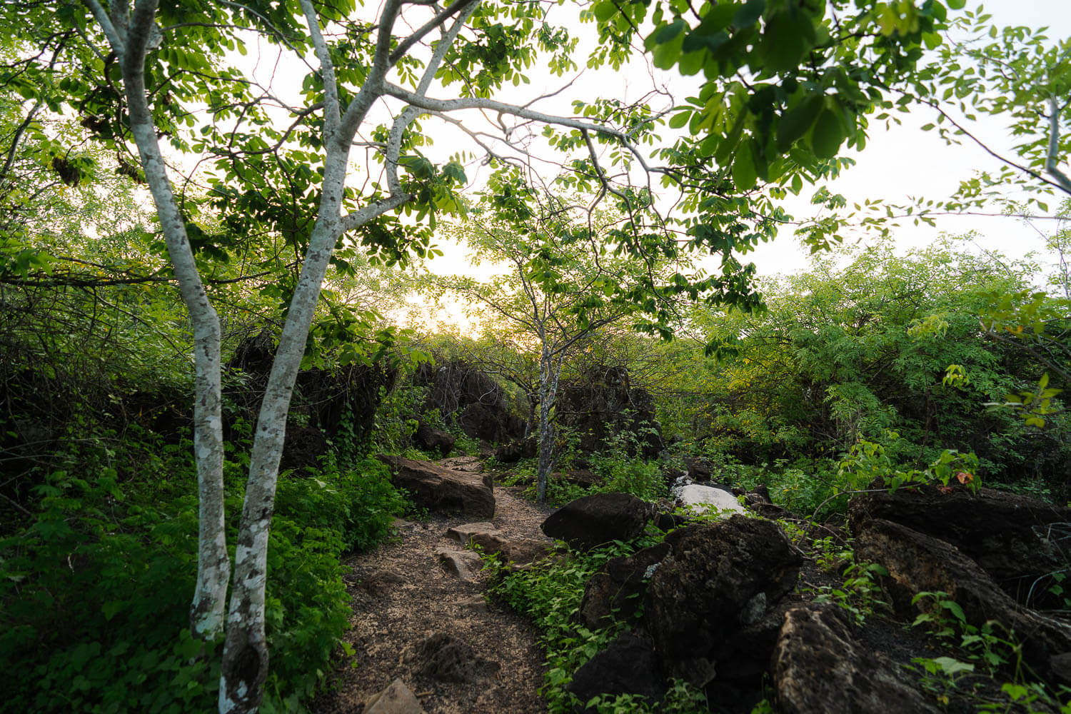 The last part of the path to the beach