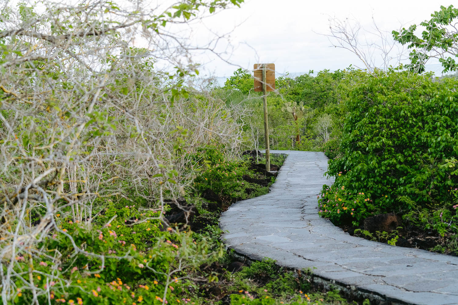 The Path to Puerto Chino beach on the Highlands Tour in San Cristobal