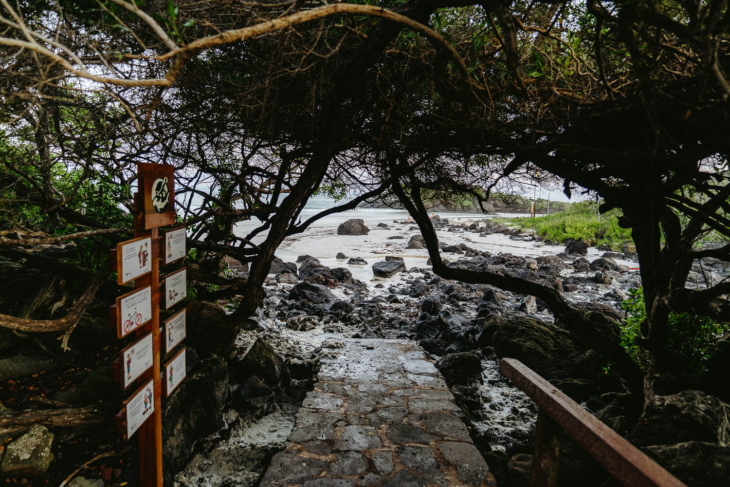 Arriving at the Puerto Chino beach on the Highlands Tour in San Cristobal