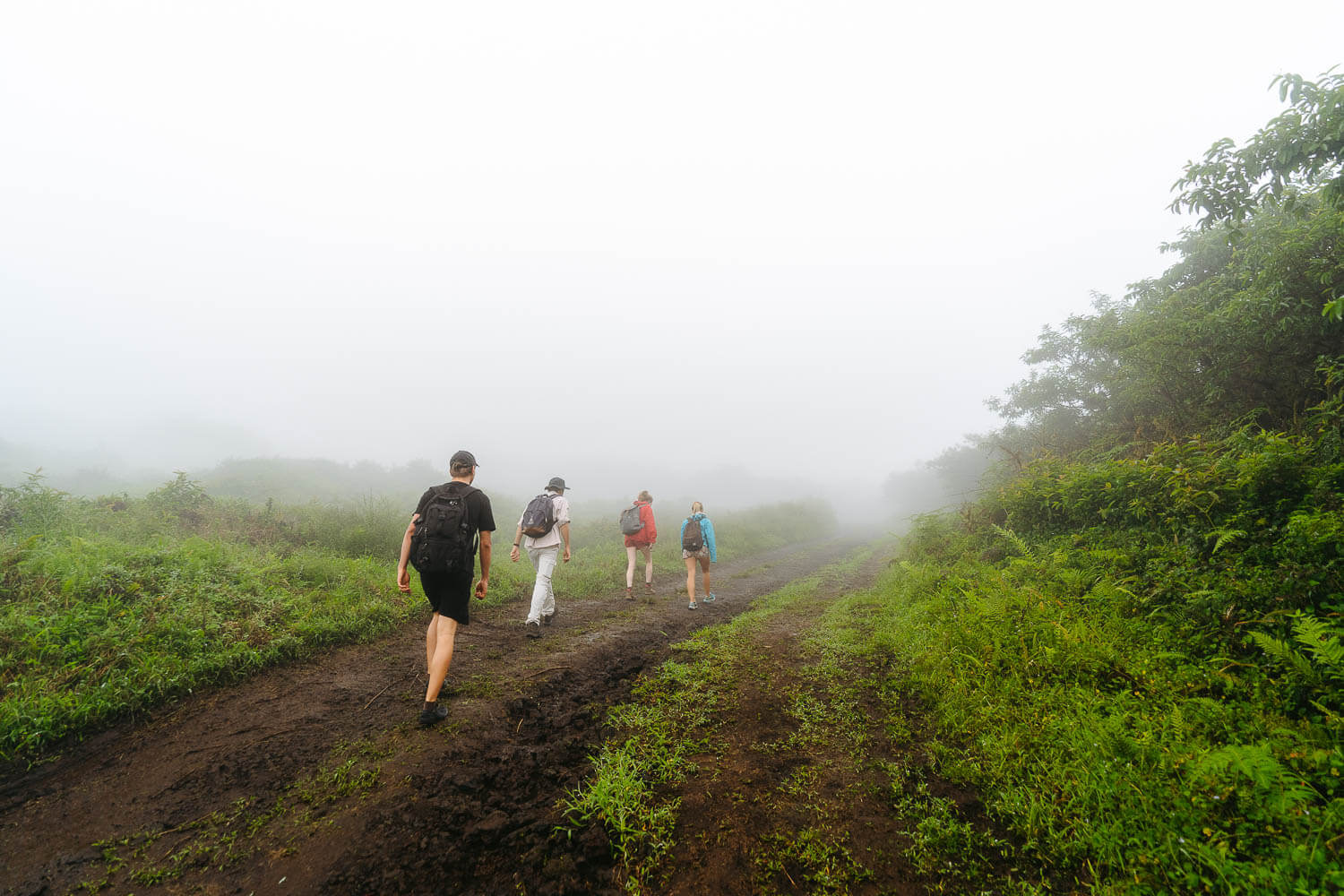 The beginning of Sierra Negra Volcano Tour