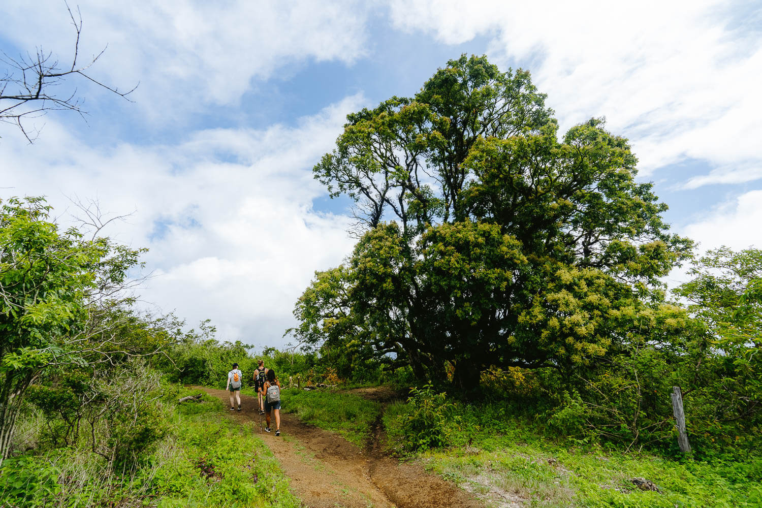 The greenish part of the hike after the caldera main viewpoint