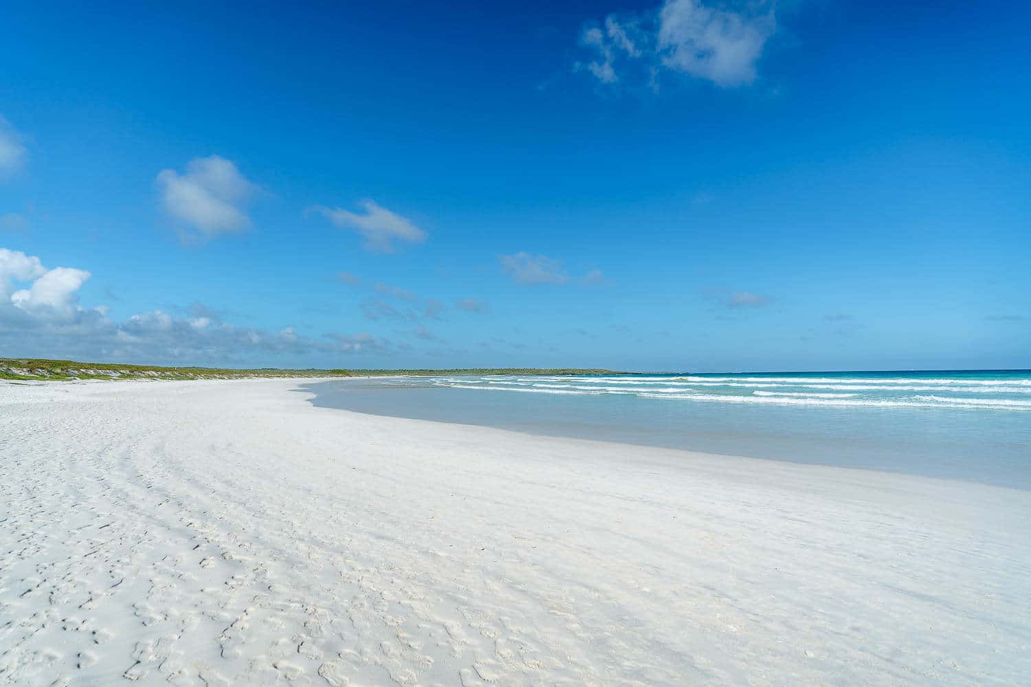 Tortuga Bay beach in Santa Cruz island