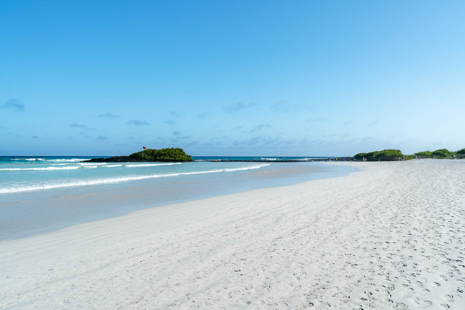 Tortuga Bay in Santa Cruz, Galápagos