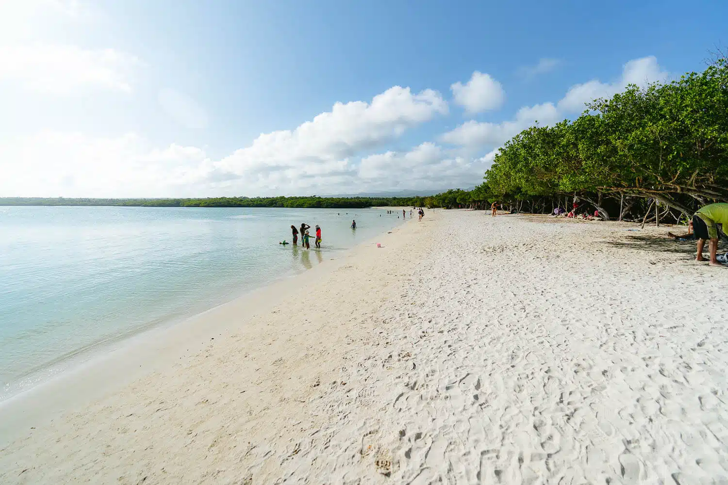 Playa Mansa beach with shade at Tortuga Bay in Santa Cruz