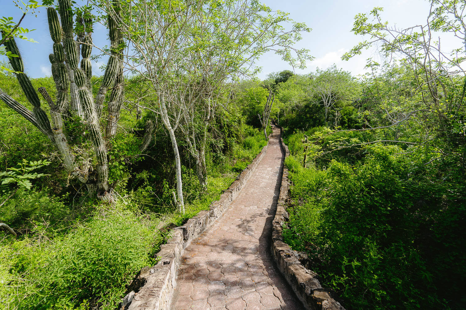 The path to Tortuga Bay