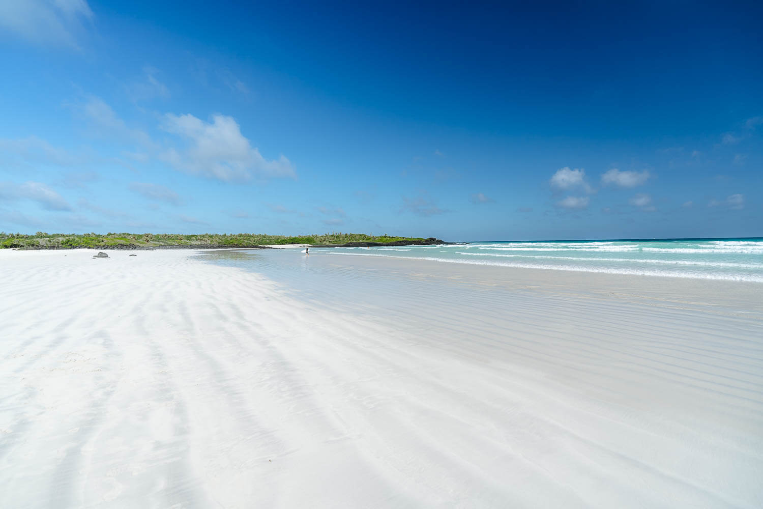 White-sand beach of Tortuga Bay