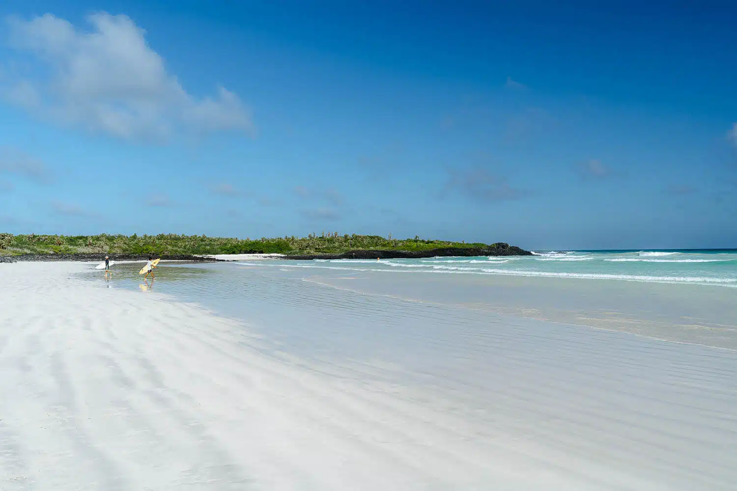 Surfers at Tortuga Bay