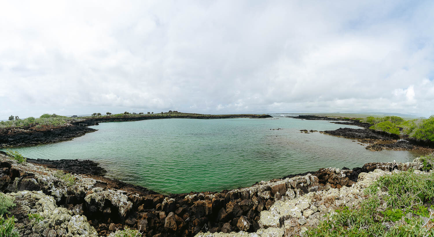 The lagoon next to the Bahia Rosa Blanca