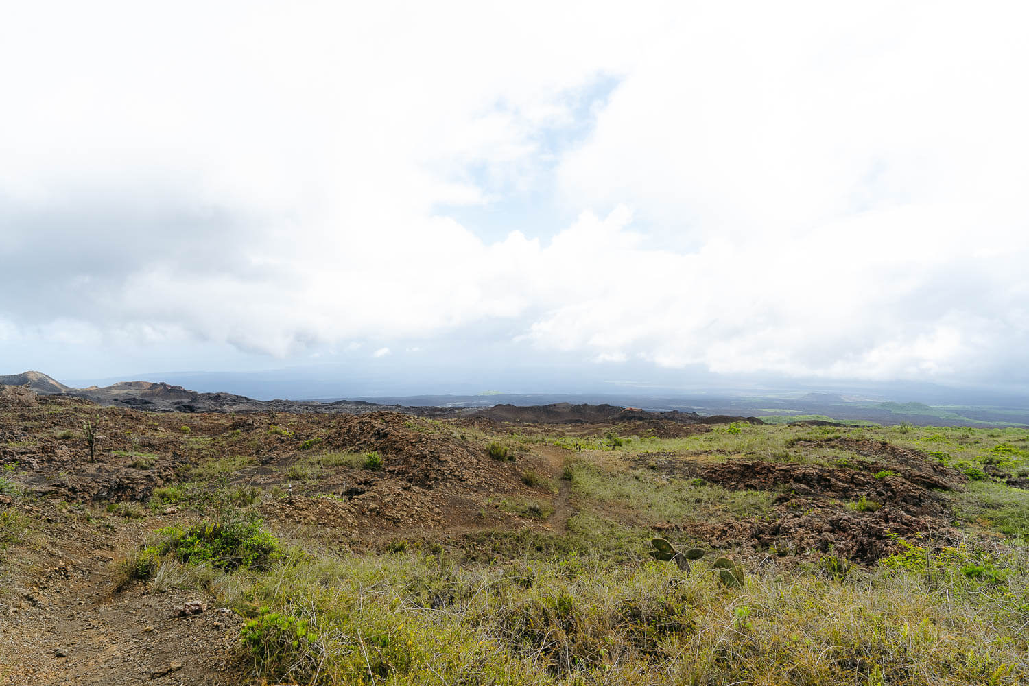 Changing landscapes, from green to red and brown