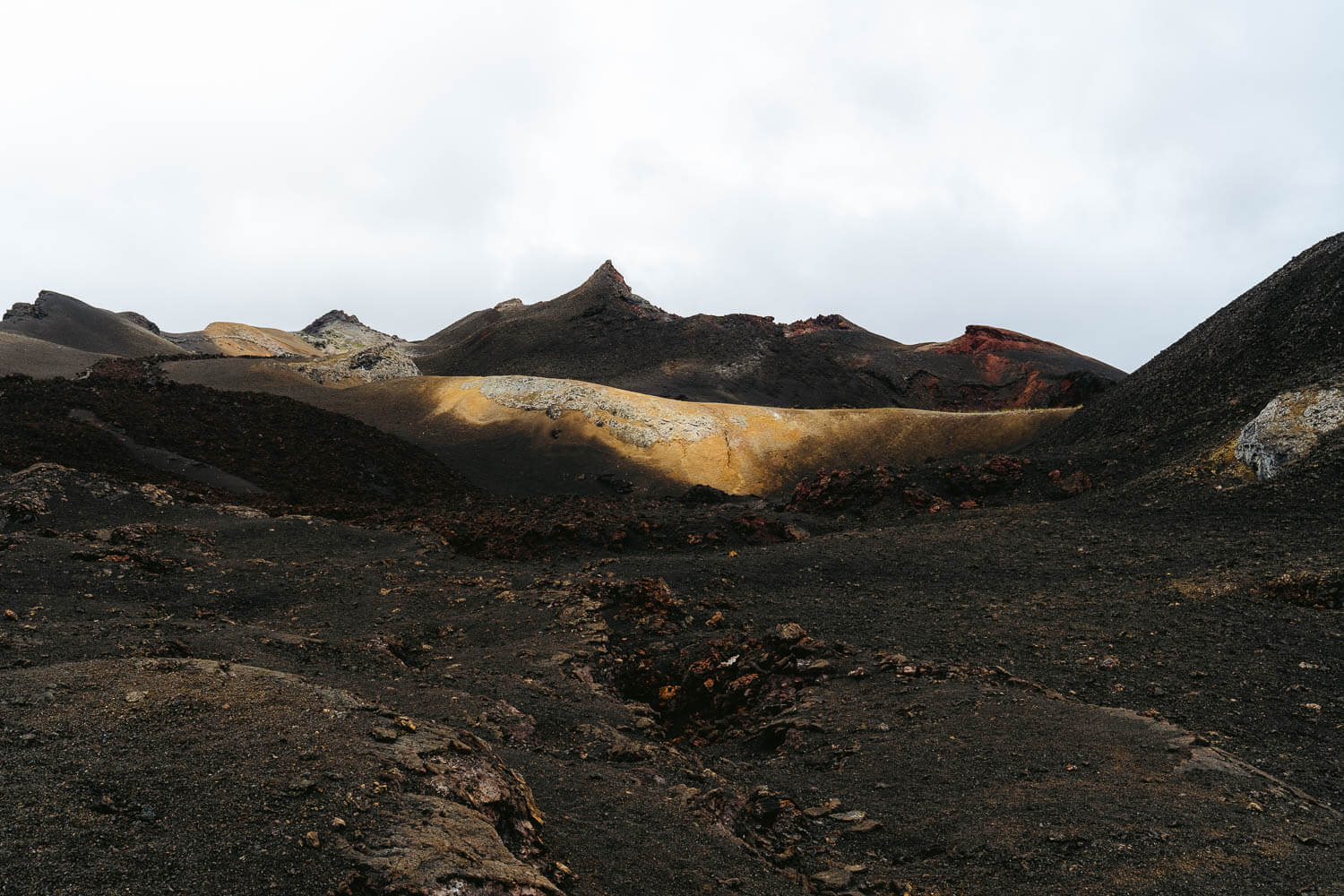 Sierra Negra and Chico Volcano, in Isabela island, Galápagos, a must in any Galapagos Itinerary