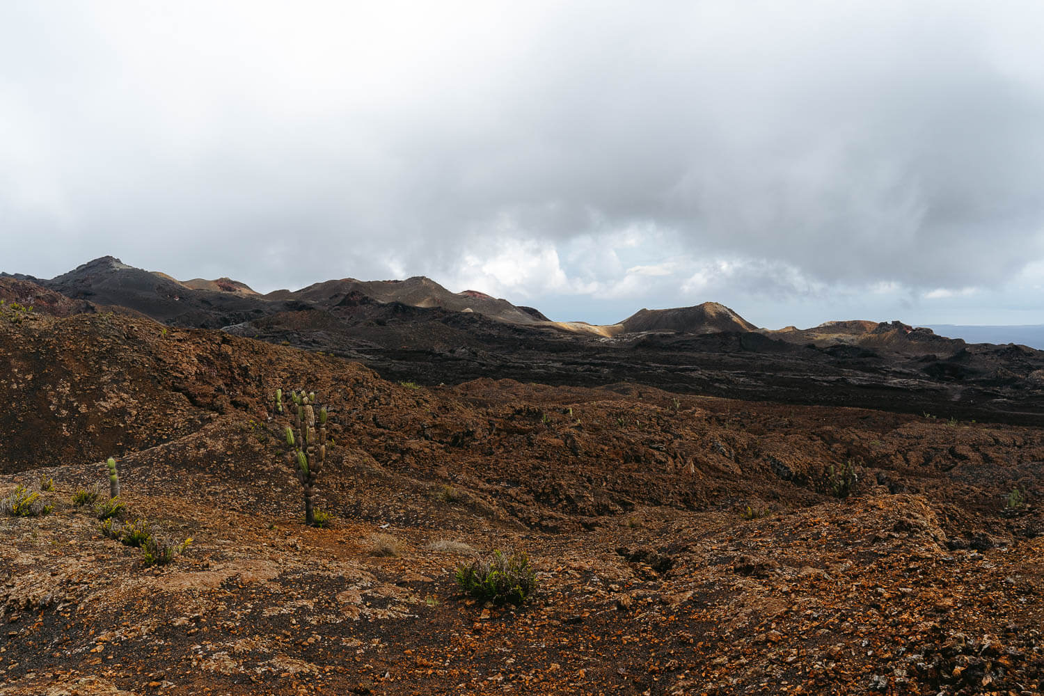 The brown and red landscape of Sierra Negra volcano