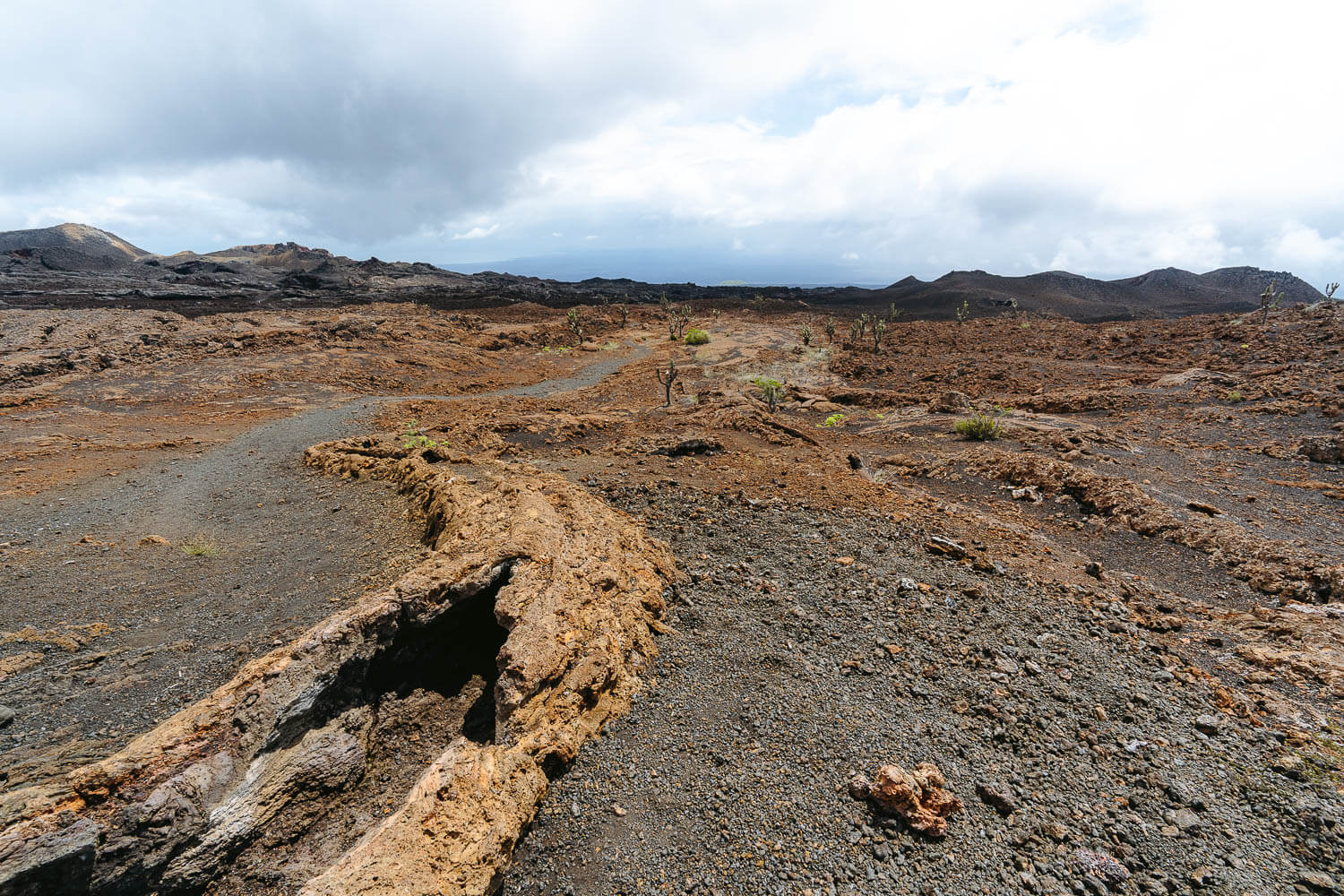 A collapsed lava tunnel