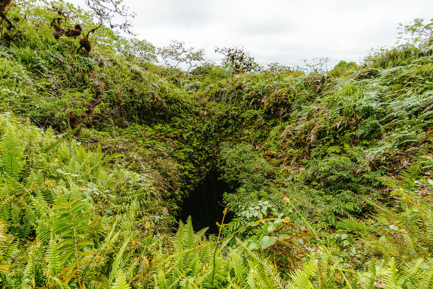 The volcano's entrance where you descend into its interior