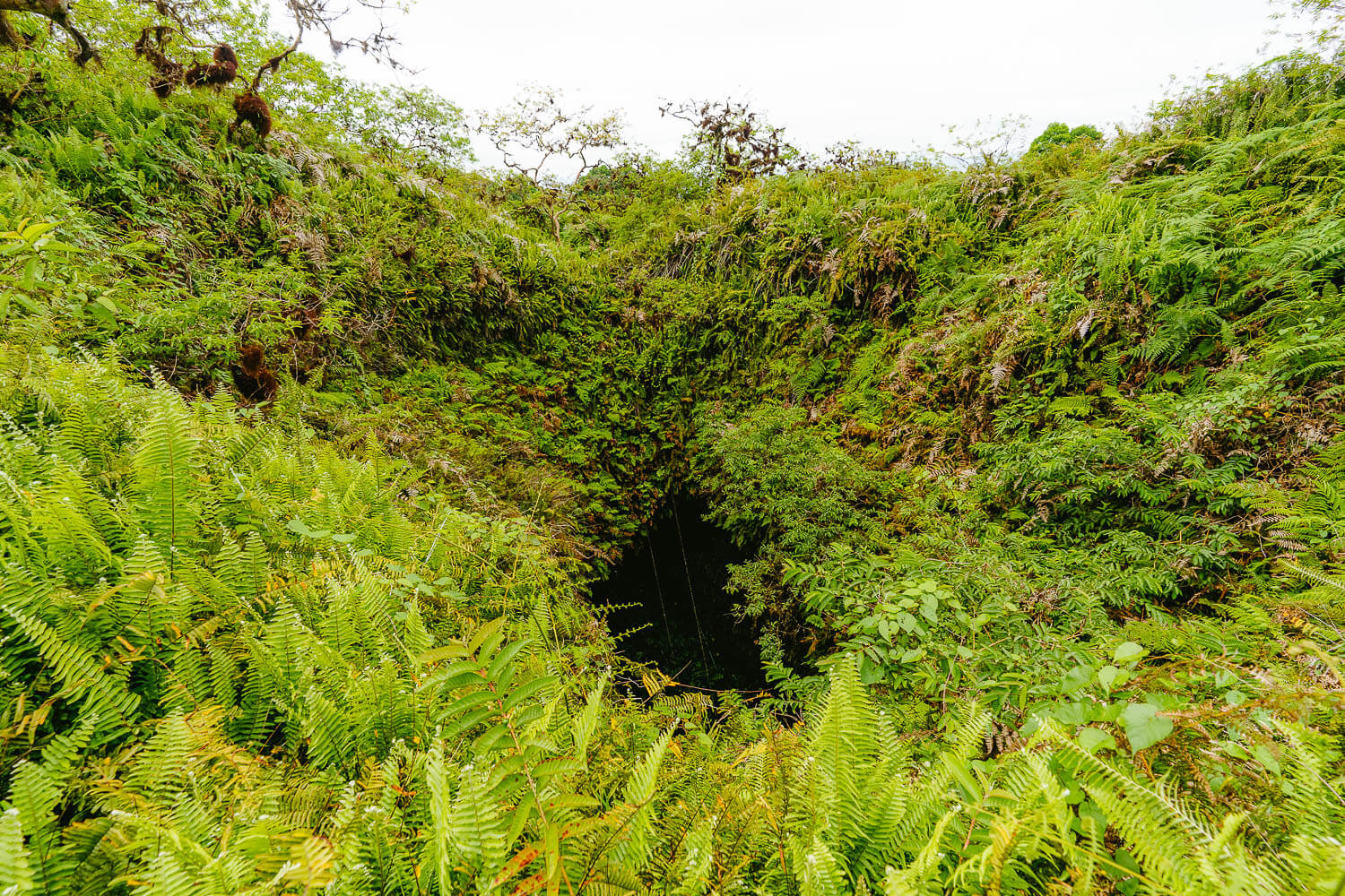 The volcano's entrance where you descend into its interior