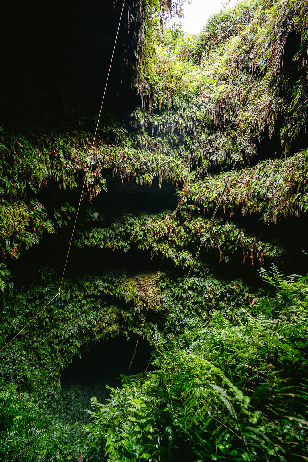 The lush interior of the volcano