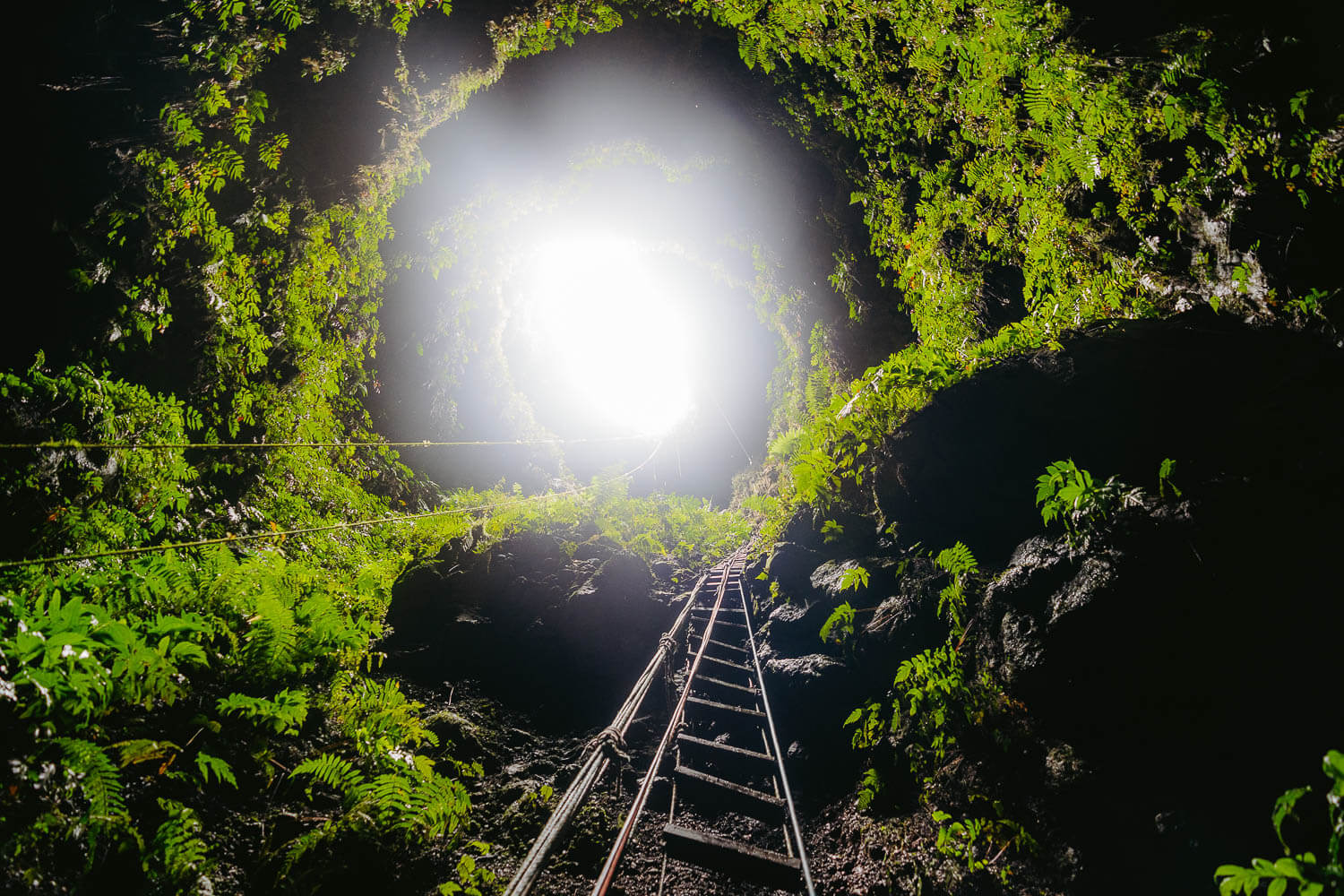 Looking up at the entrance. What a view.