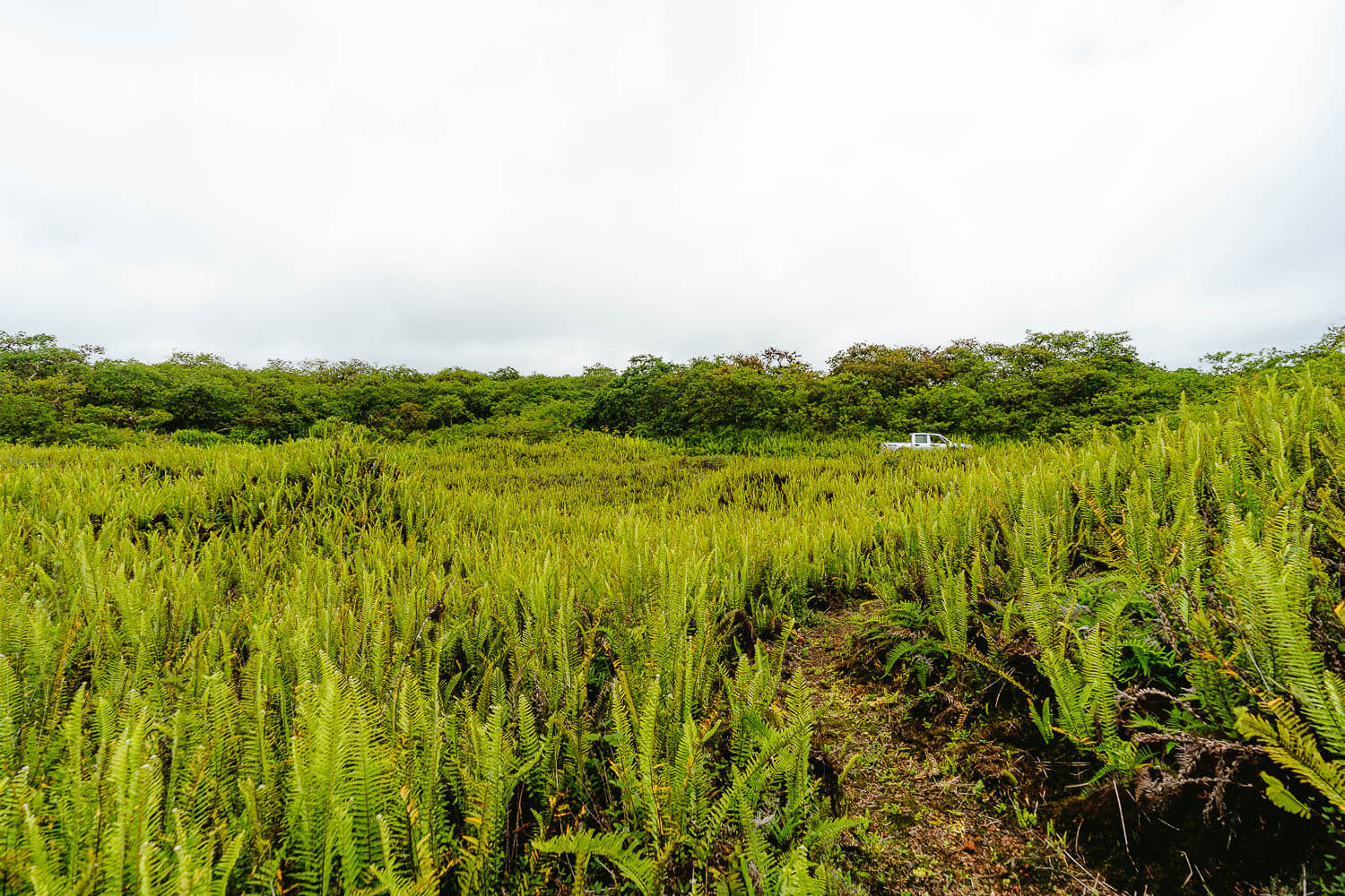 The landscape around the volcano