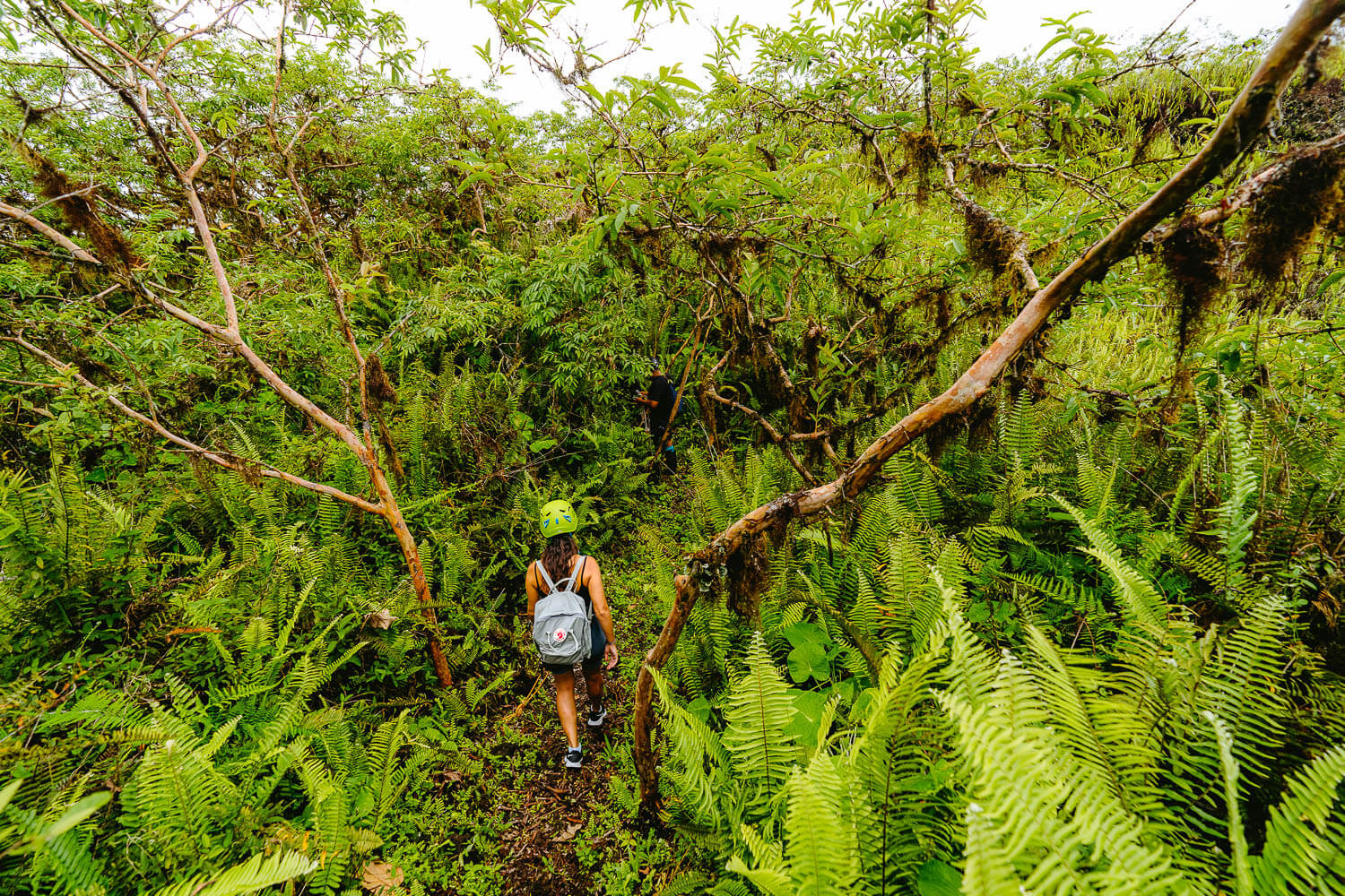 Exploring Ulises's farm