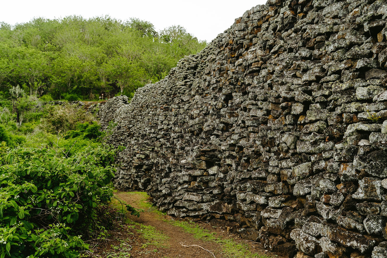 El Muro de las Lágrimas en la Isla Isabela, Galápagos