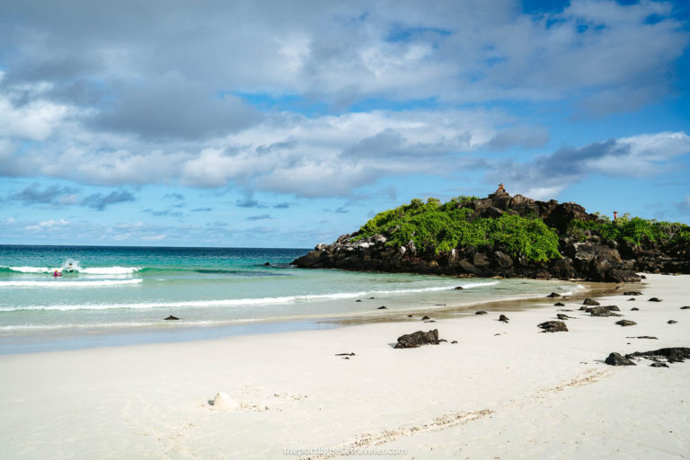 20 Best Beaches in Galapagos (All the Islands): Complete Guide