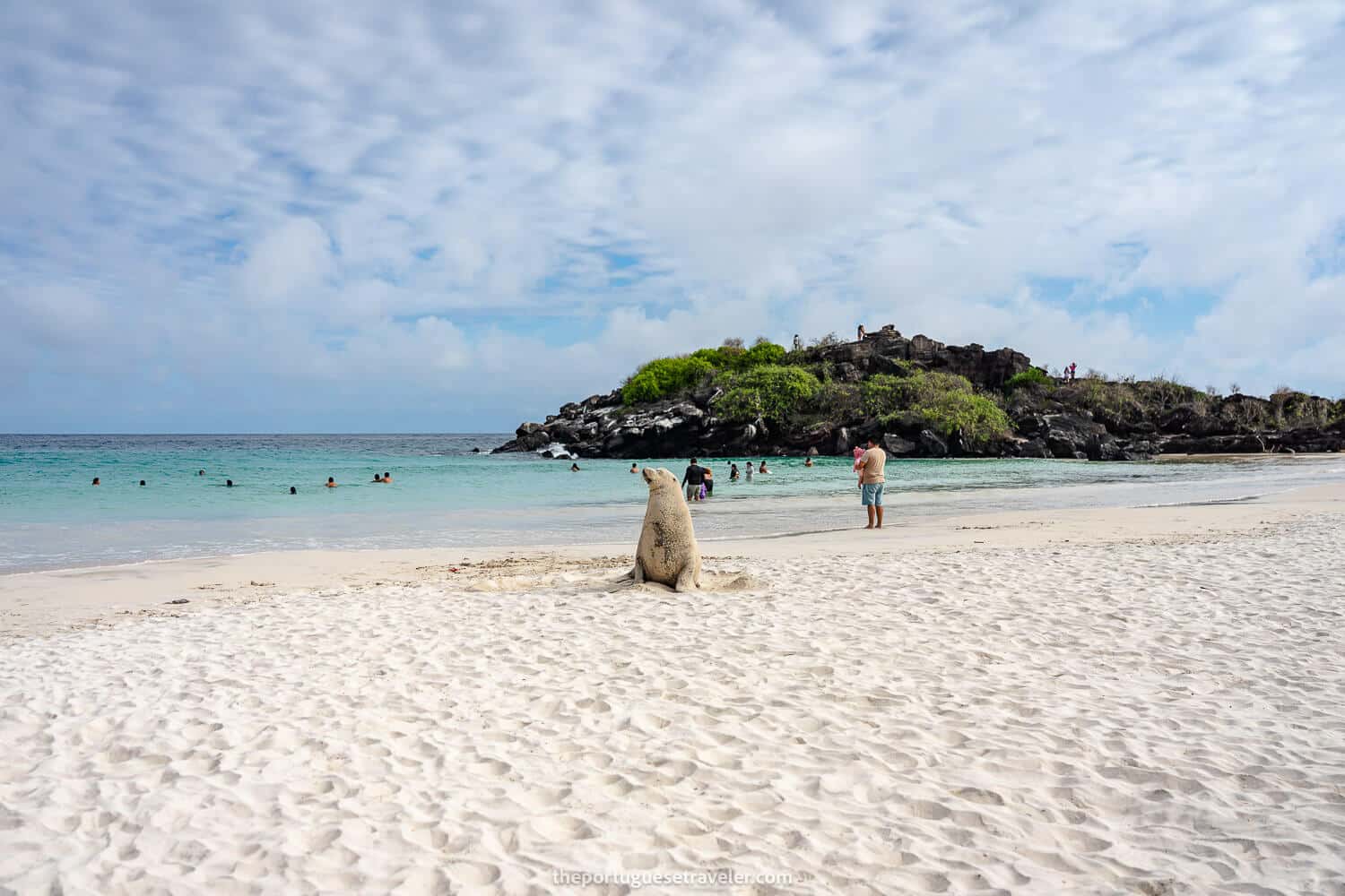 Puerto Chino's with a sea lion croquette