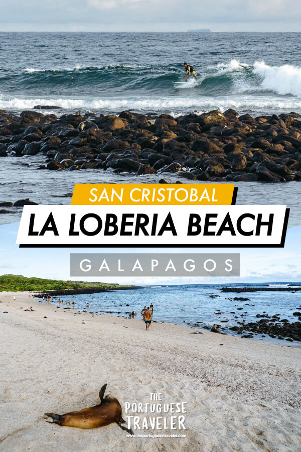 La Loberia Beach in San Cristobal, Galapagos