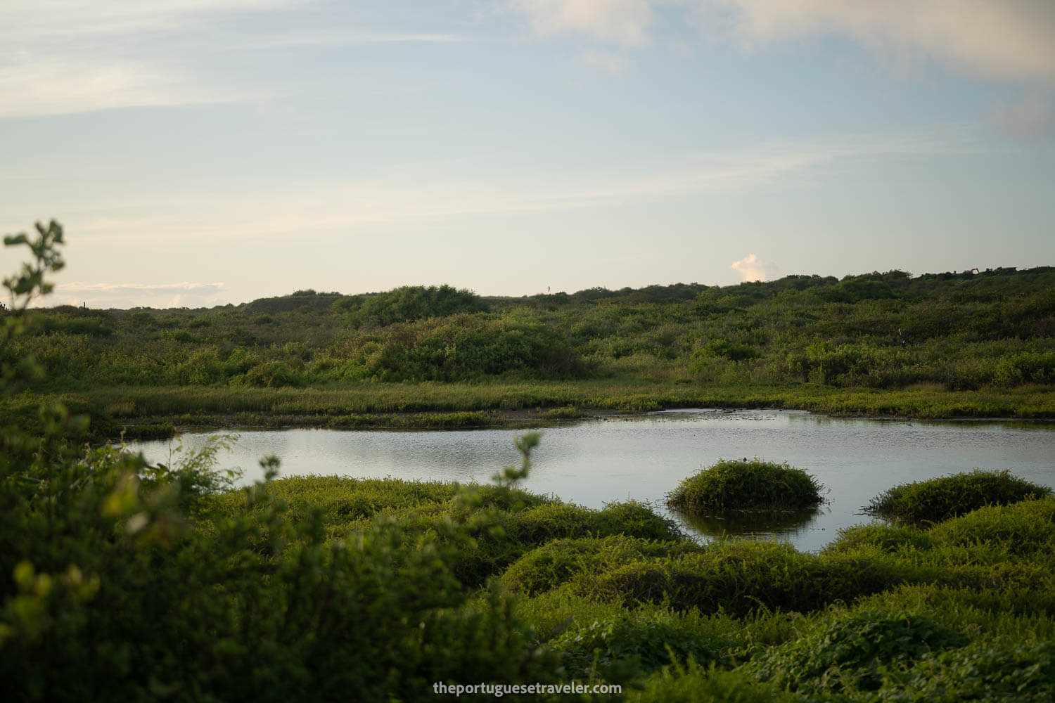 The lagoon behind the beach