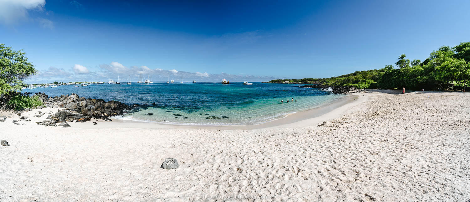 Playa Mann Beach during daylight