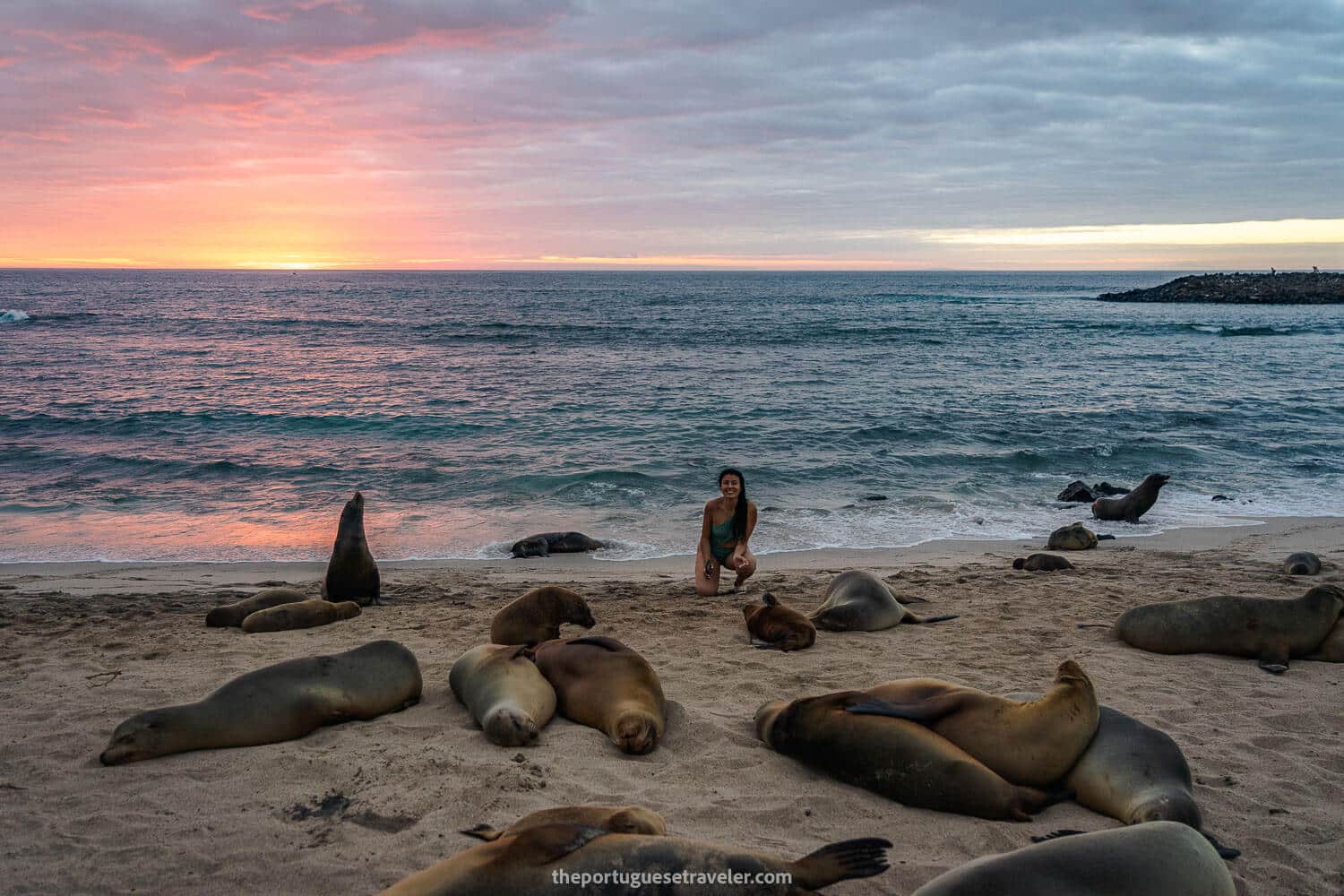 Sea lions at sunset in Punta Carola beach